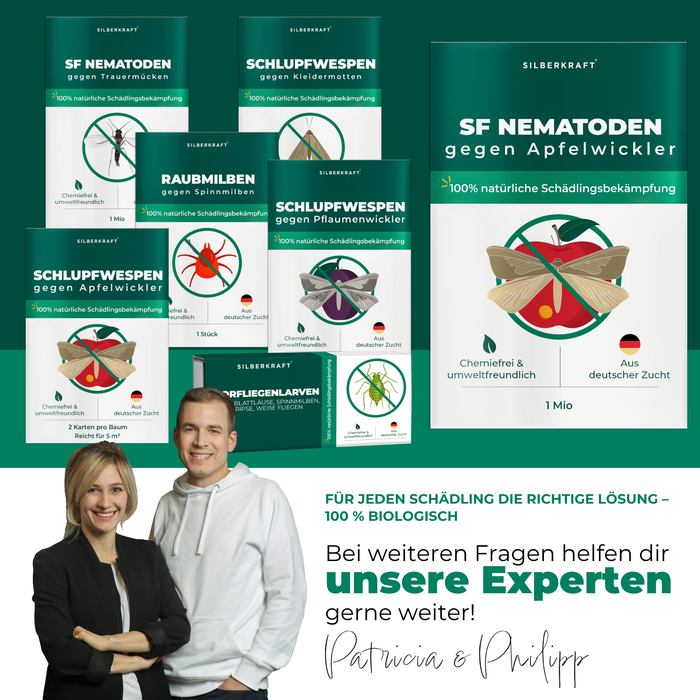 SF Nematoden gegen Apfelwickler