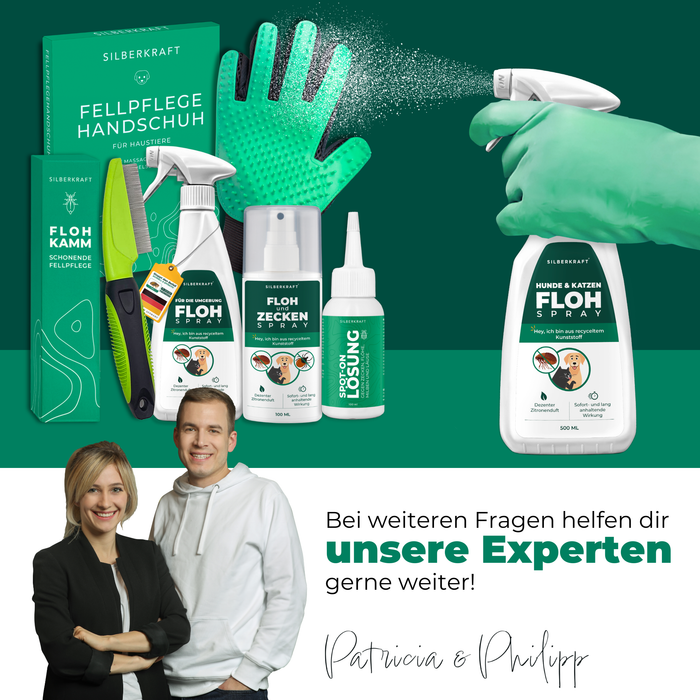 Silberkraft Flohspray zusammen mit anderen Produkten zur Flohbekämpfung, umgeben von Text, der die verschiedenen Anwendungsmöglichkeiten aufzeigt.