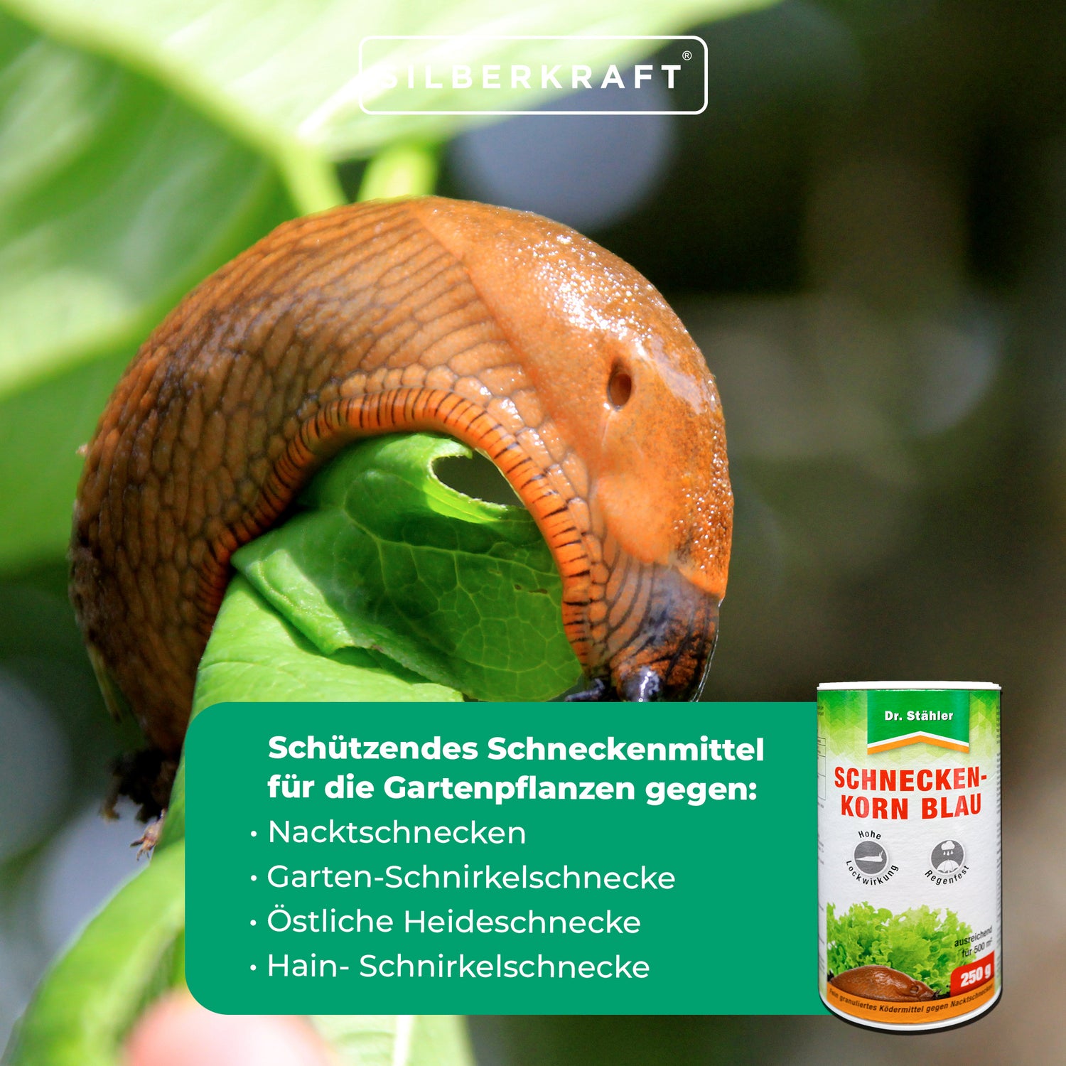 Pellet di lumache blu: protettivo repellente per lumache per piante da giardino