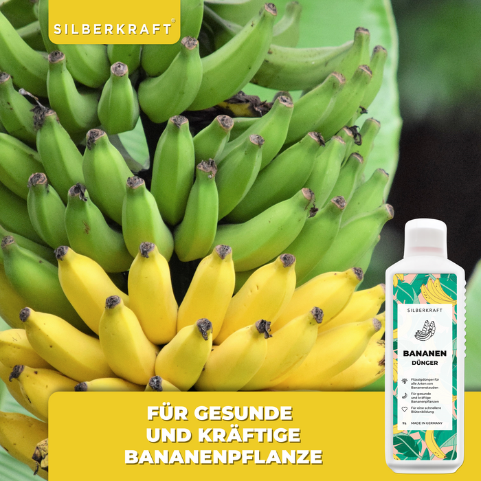 Concime per banane da 1 litro per tutti i tipi di banani