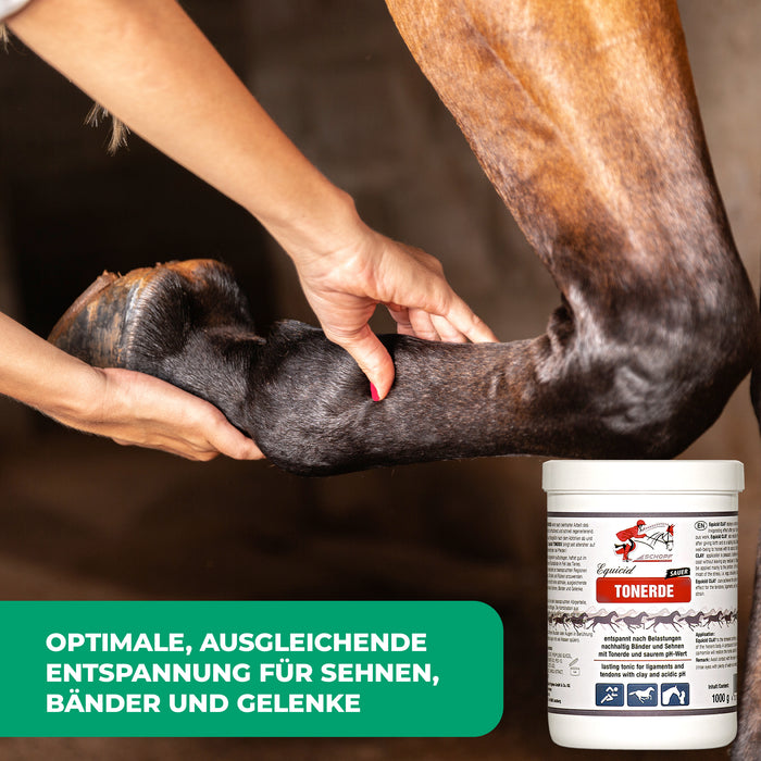 Equicid Clay: cura rinfrescante del cavallo per il relax e la rigenerazione