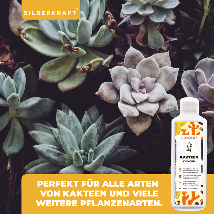 Concime per cactus da 1 litro per tutti i tipi di cactus, agavi e altre piante grasse