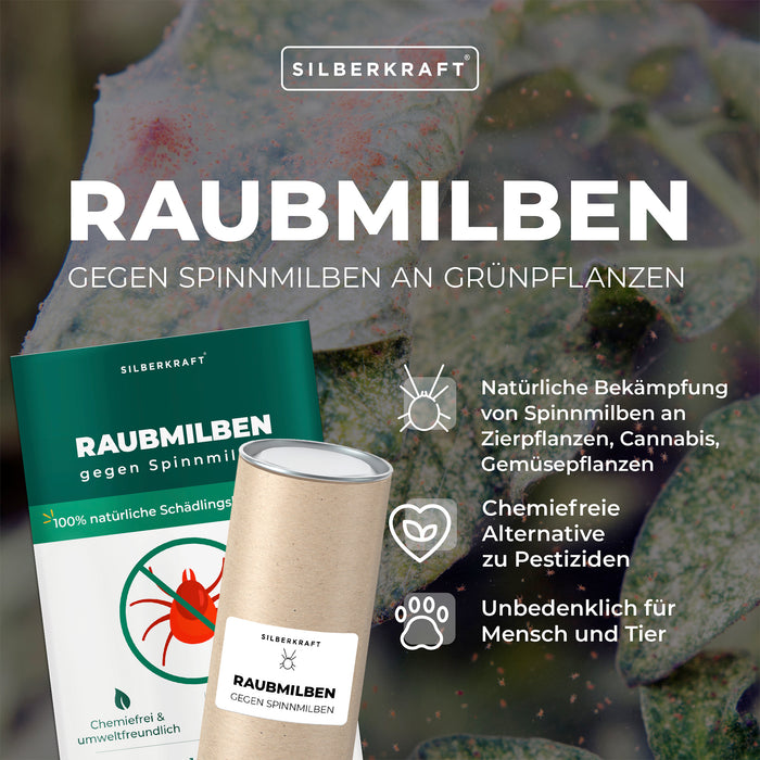 Raubmilben gegen Spinnmilben an Grünpflanzen