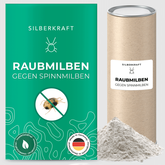 Raubmilben gegen Spinnmilben an Grünpflanzen