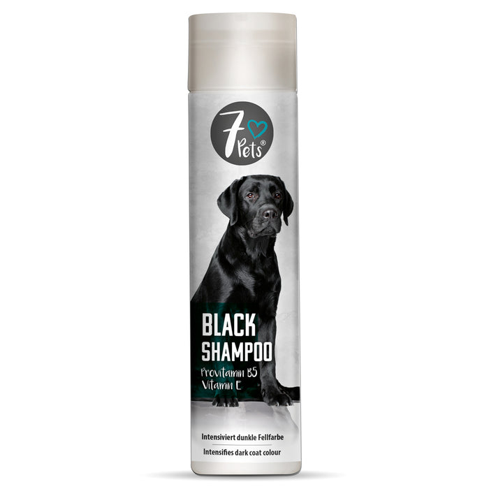 Black Shampoo - shampoing pour chien pour fourrure de couleur foncée