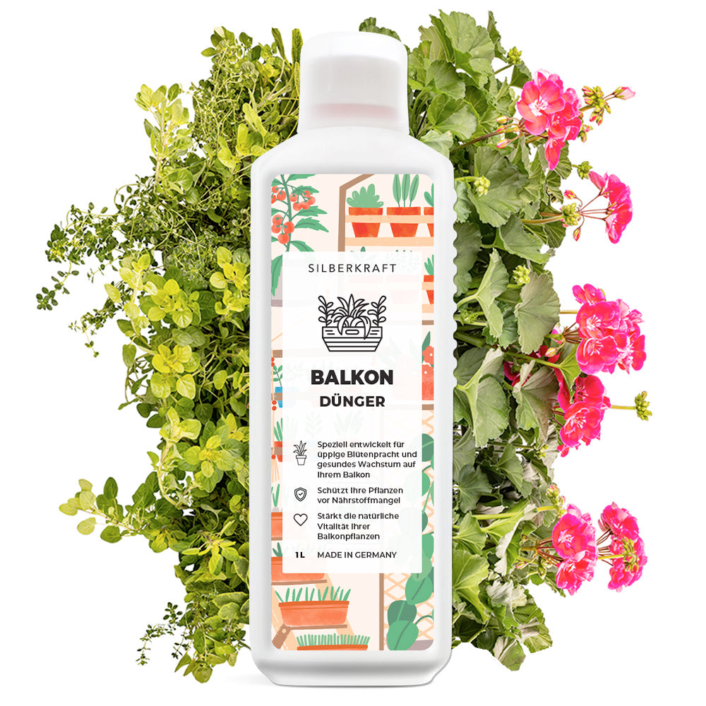 Problema e soluzione