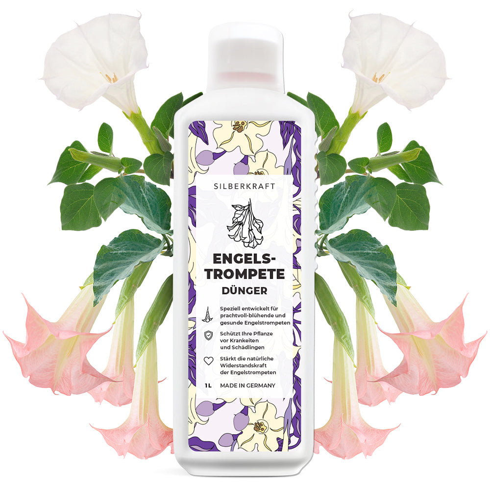 Problema e soluzione