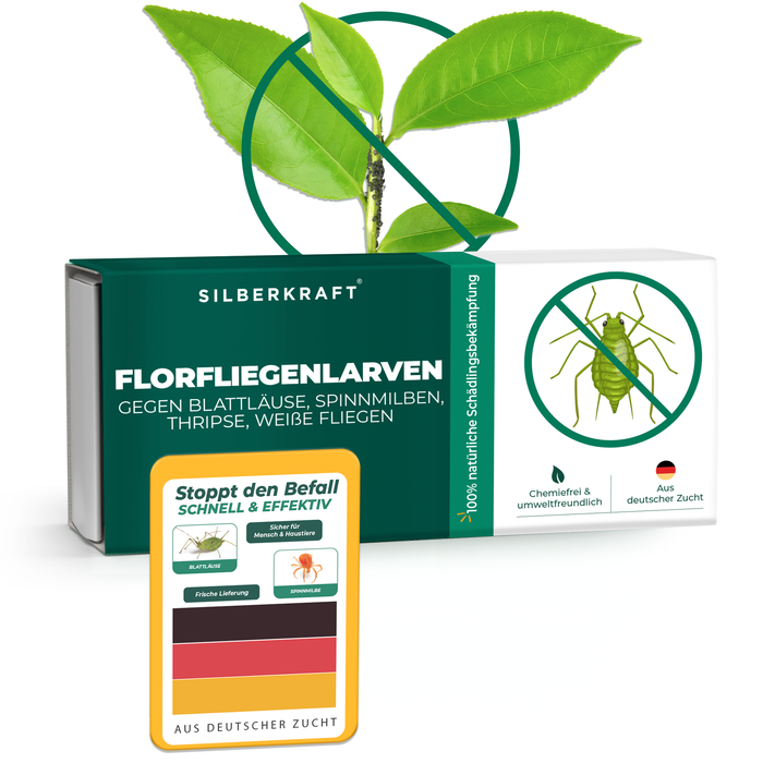 Florfliegenlarven gegen Blattläuse, Spinnmilben, Thripse, weiße Fliegen