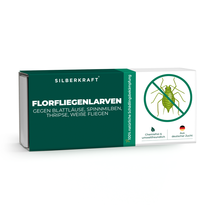 Florfliegenlarven gegen Blattläuse, Spinnmilben, Thripse, weiße Fliegen