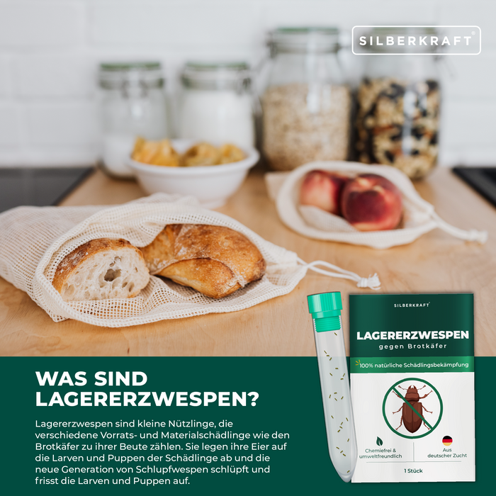 Lagererzwespen gegen Brotkäfer, Tabakkäfer, Kugelkäfer, Messingkäfer