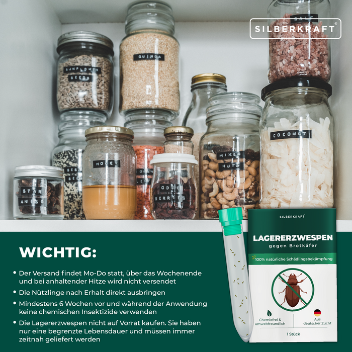 Lagererzwespen gegen Brotkäfer, Tabakkäfer, Kugelkäfer, Messingkäfer