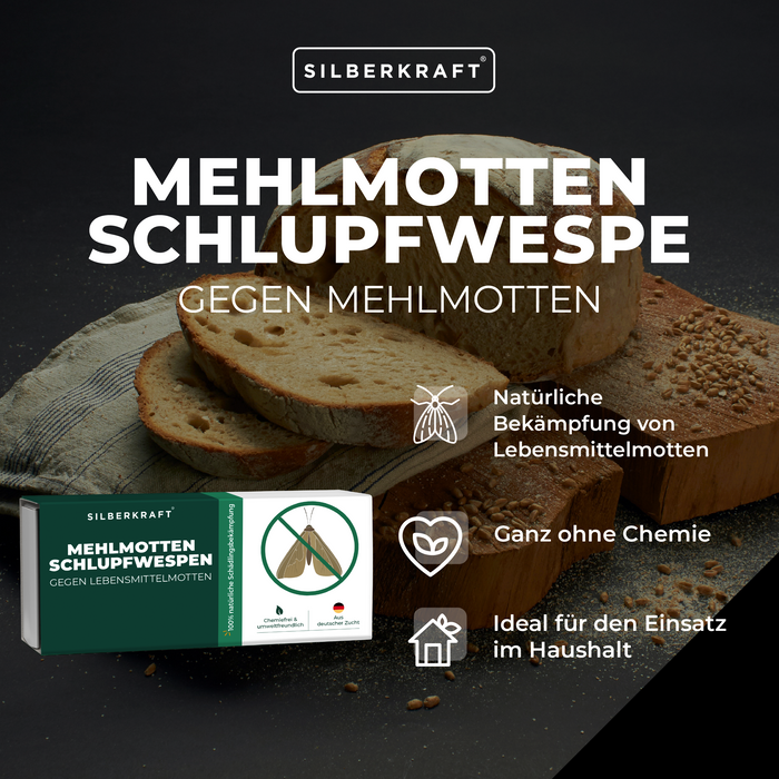 Mehlmottenschlupfwespen - Schlupfwespen gegen Mehlmotten