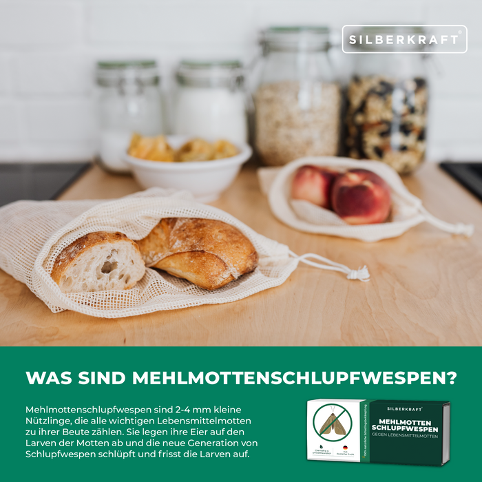 Mehlmottenschlupfwespen - Schlupfwespen gegen Mehlmotten