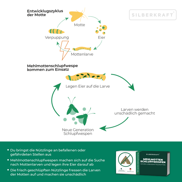 Mehlmottenschlupfwespen - Schlupfwespen gegen Mehlmotten