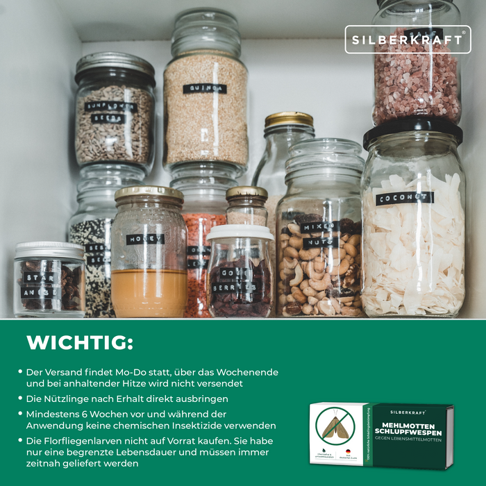 Mehlmottenschlupfwespen - Schlupfwespen gegen Mehlmotten