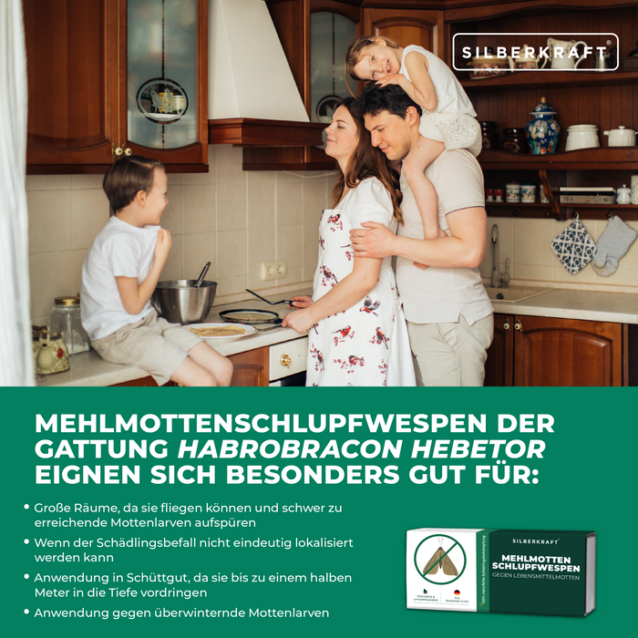Mehlmottenschlupfwespen - Schlupfwespen gegen Mehlmotten