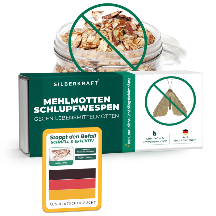 Mehlmottenschlupfwespen - Schlupfwespen gegen Mehlmotten