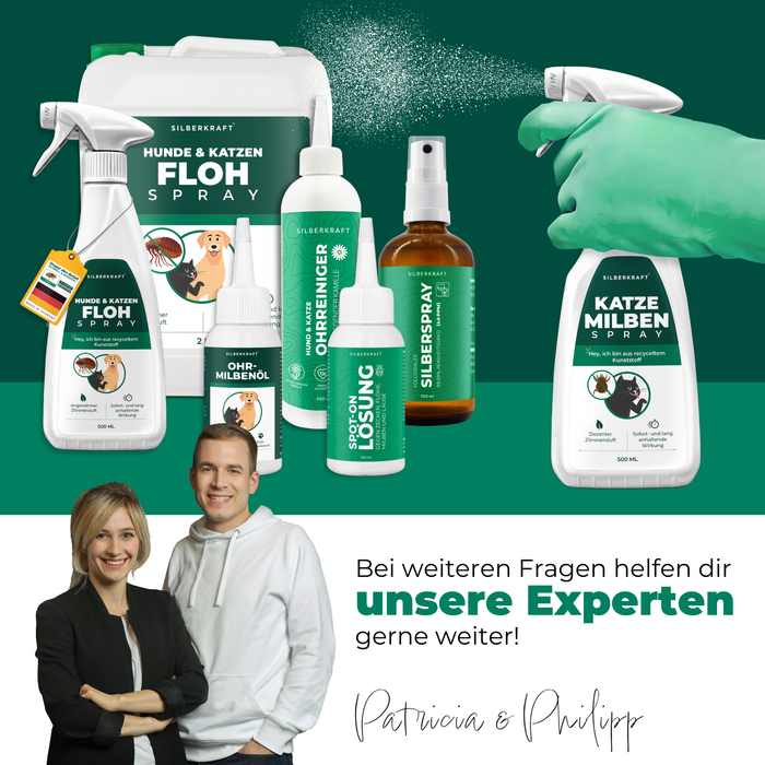 Silberkraft Milbenspray zusammen mit anderen Produkten zur Milbenbekämpfung, umgeben von Text, der die verschiedenen Anwendungsmöglichkeiten aufzeigt.