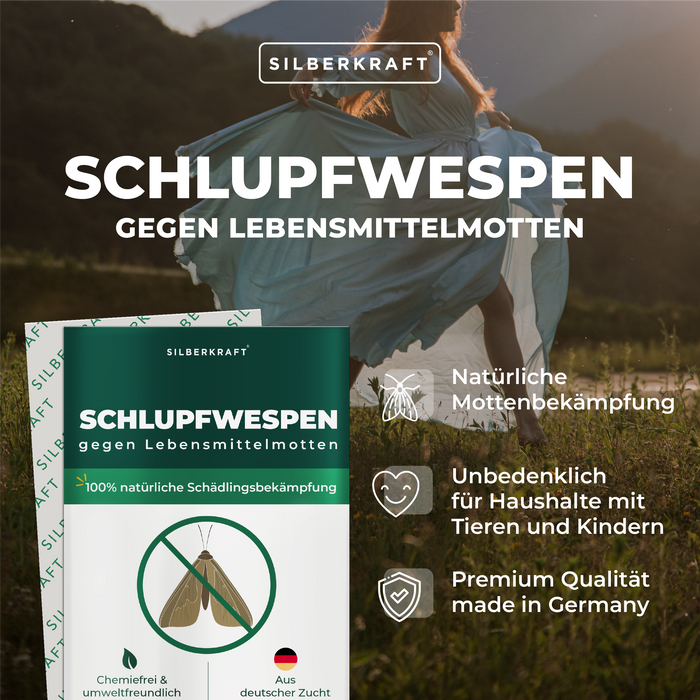 Schlupfwespen gegen Lebensmittelmotten