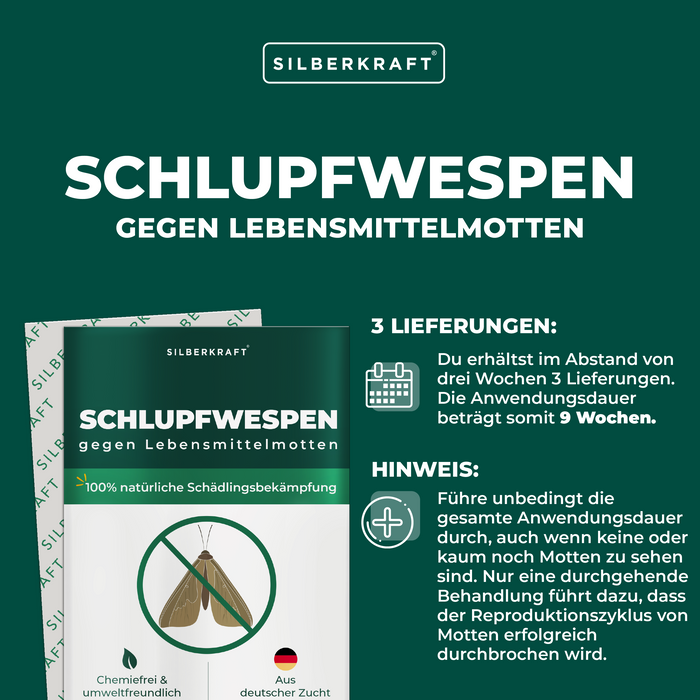 Schlupfwespen gegen Lebensmittelmotten