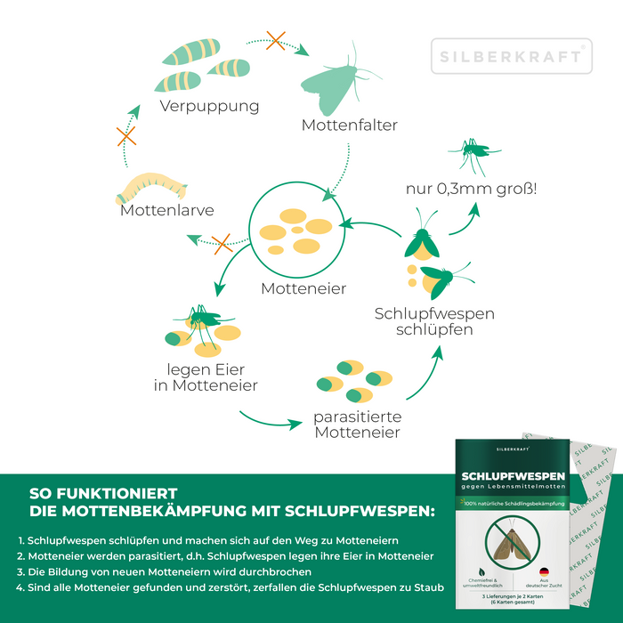 Schlupfwespen gegen Lebensmittelmotten