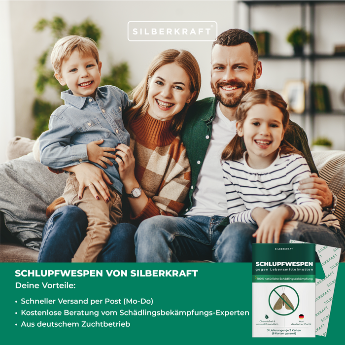 Schlupfwespen gegen Lebensmittelmotten