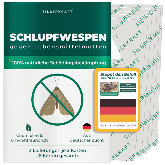 Schlupfwespen gegen Lebensmittelmotten