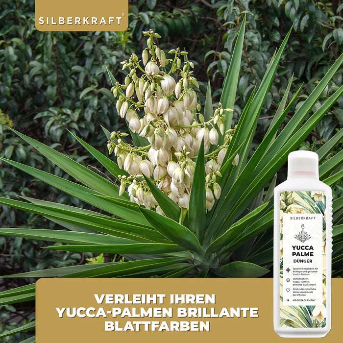 Yucca Dünger - Mineralischer NPK Flüssigdünger mit Stickstoff - Dünger für Yucca Palmen - Palmlilie düngen -  Yucca Rostrata Dünger