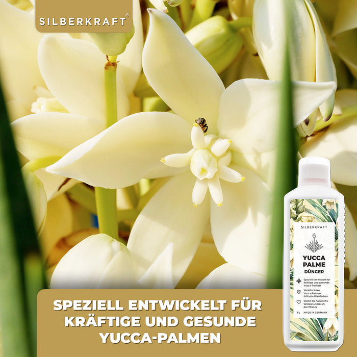 Yucca Dünger - Mineralischer NPK Flüssigdünger mit Stickstoff - Dünger für Yucca Palmen - Palmlilie düngen -  Yucca Rostrata Dünger