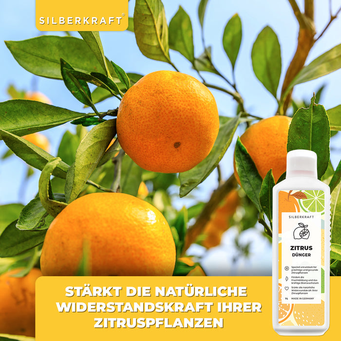 Zitrusdünger - Mineralischer NPK Flüssigdünger mit Stickstoff - Dünger für Zitruspflanzen - Zitronenbaum düngen