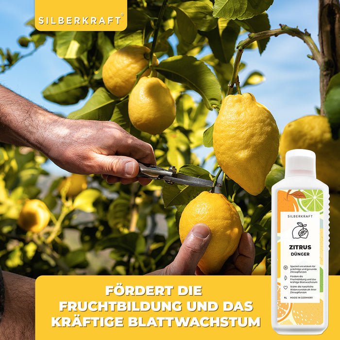 Zitrusdünger - Mineralischer NPK Flüssigdünger mit Stickstoff - Dünger für Zitruspflanzen - Zitronenbaum düngen