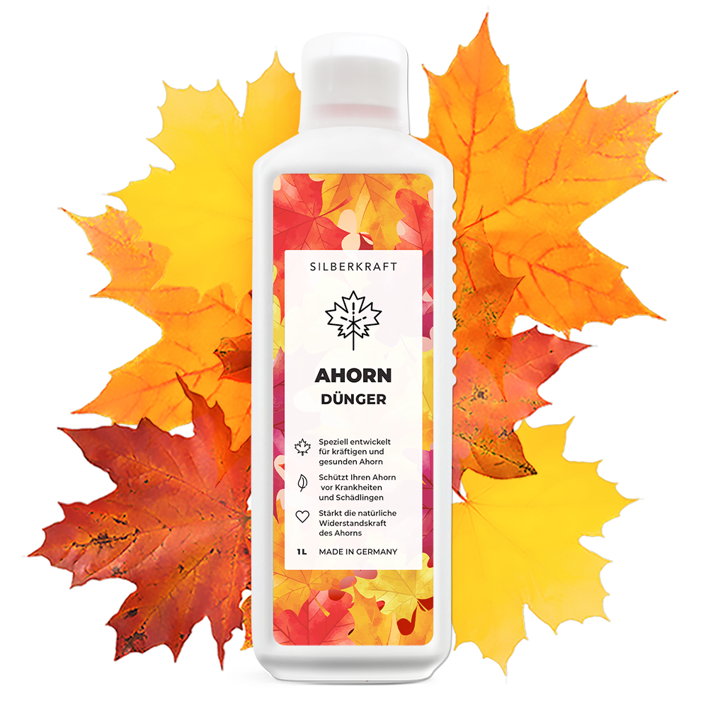 Problema e soluzione