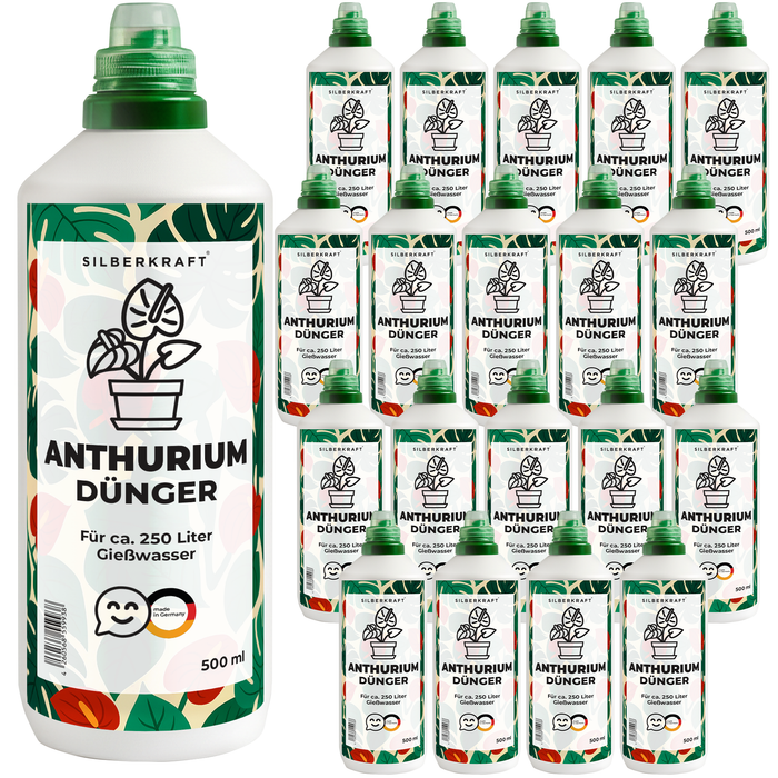 Anthurium Dünger
