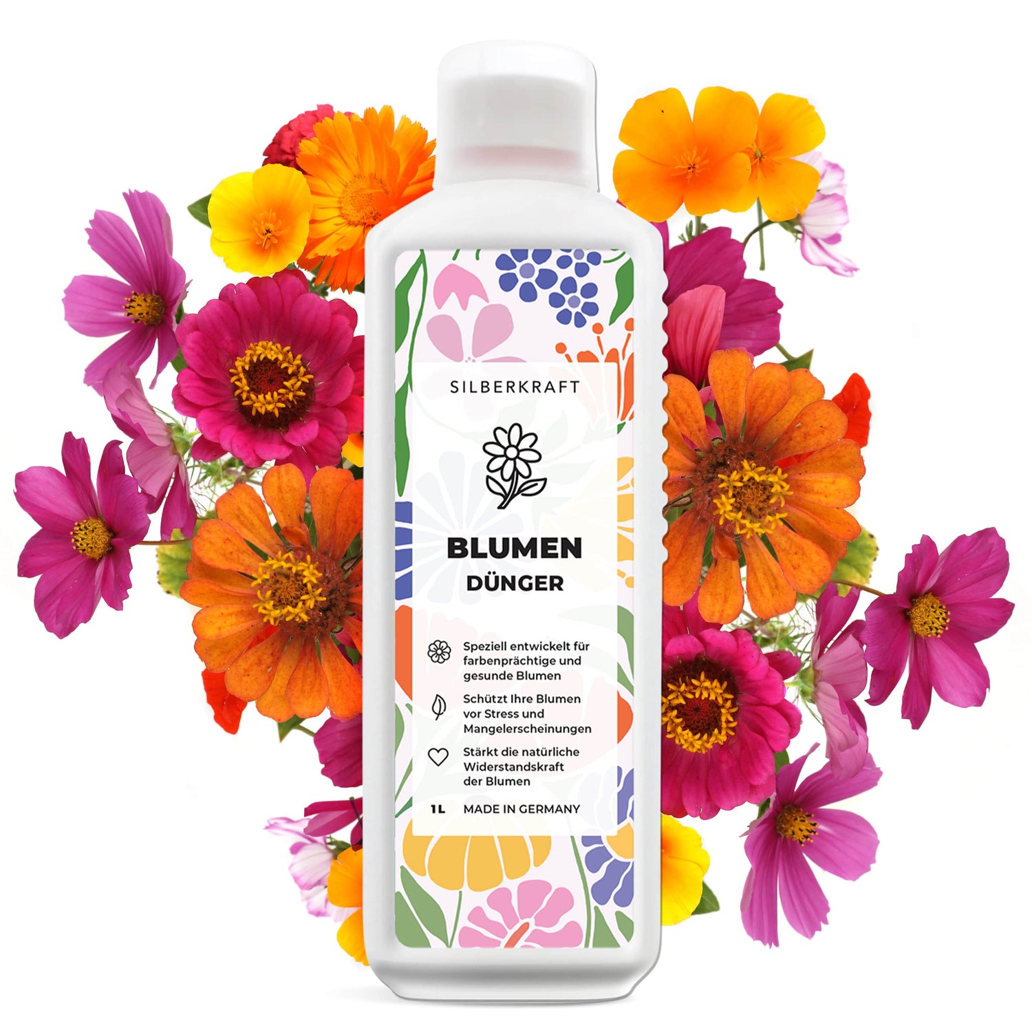 Problema e soluzione