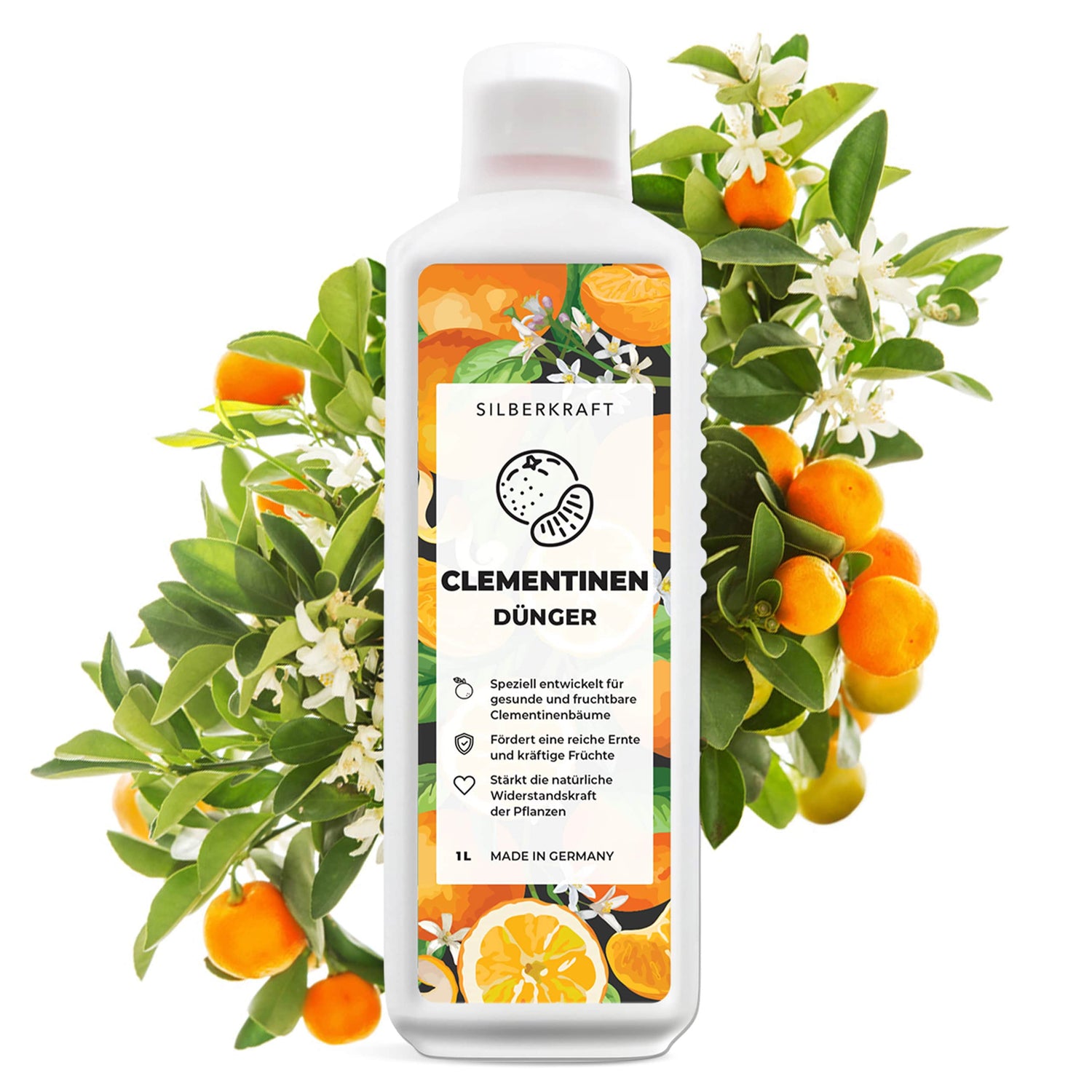 Problema e soluzione