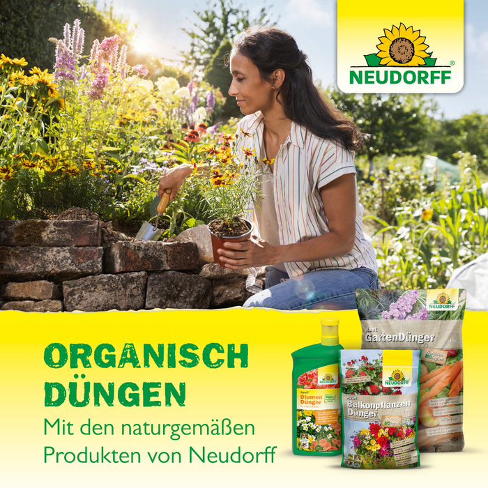 Neudorff Azet Buxus- & Ilex Dünger Groß