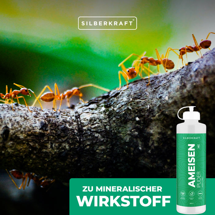Polvere anti formica - polvere di formiche