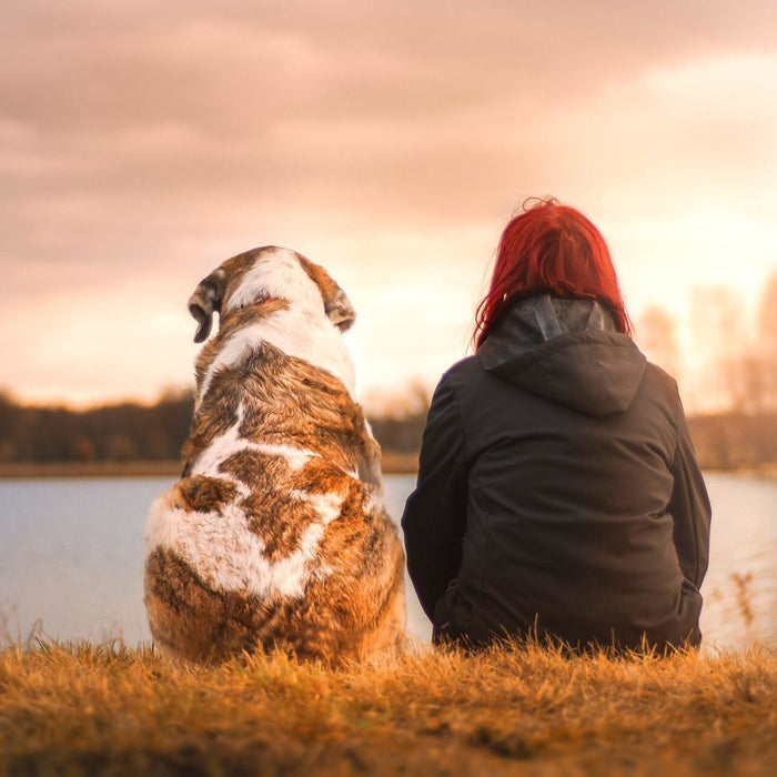 Ein Hund und eine Frau sitzen am Ufer eines Sees