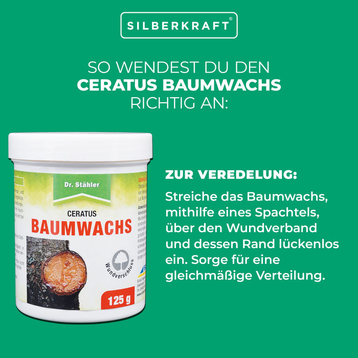 Ceratus Baumwachs: ideales Veredlungs- und Wundverschlussmittel für Obst- und Ziergehölze