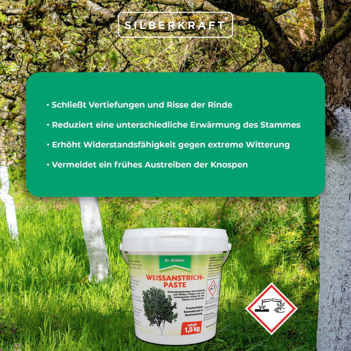 Effektiver Schutz für Bäume & Sträucher: Weißanstrich-Paste gegen Frostschäden