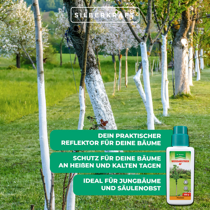 Vernice bianca AF: protezione efficace contro i danni dovuti al gelo e al calore per alberi e cespugli