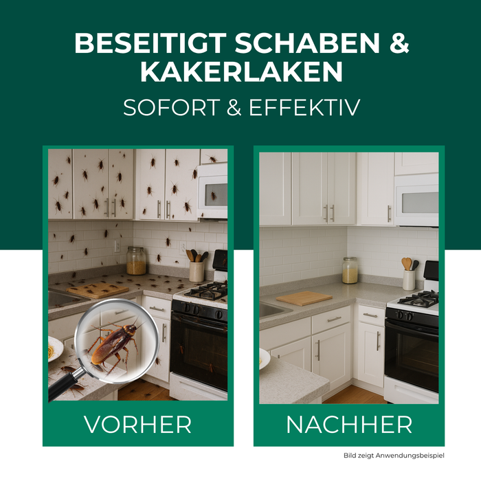 2. Silberkraft-Schabenspray Kakerlaken 500ml Vorher Nachher