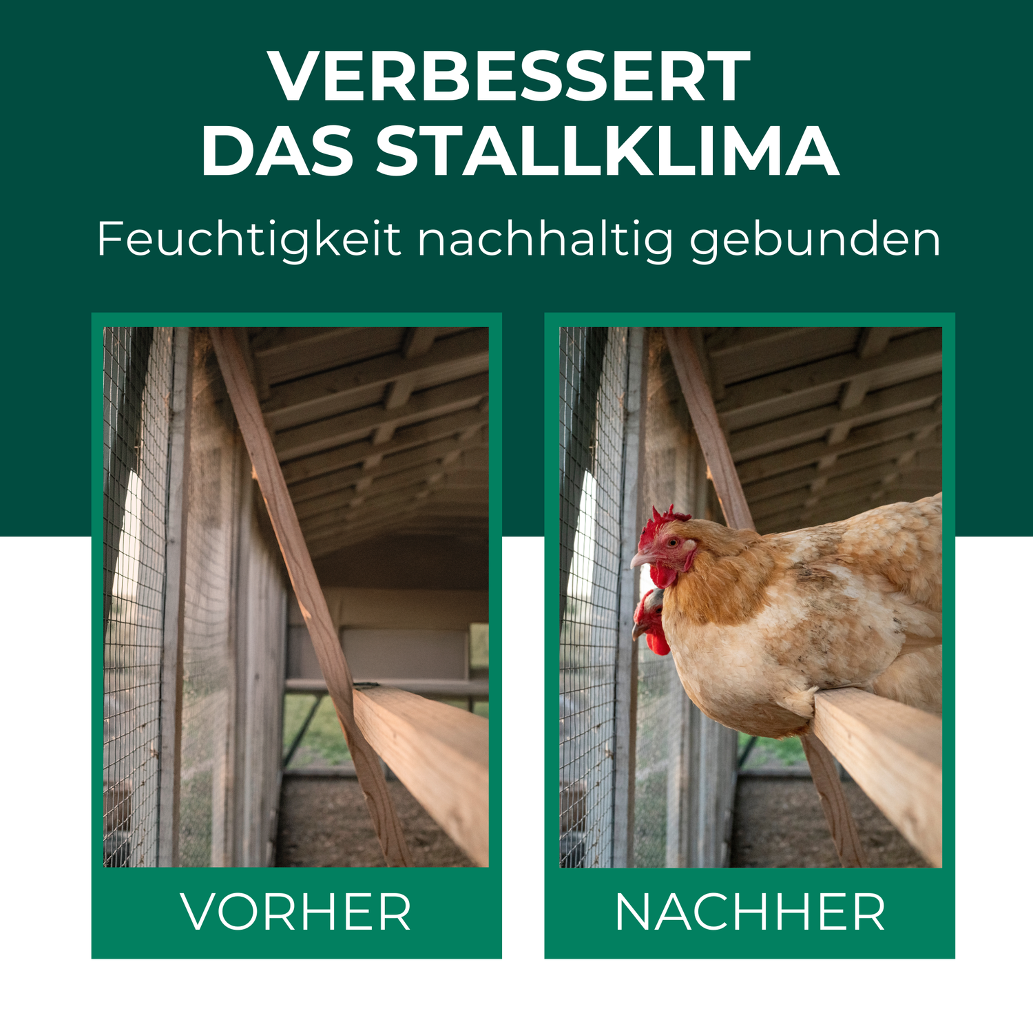 Problem & Lösung
