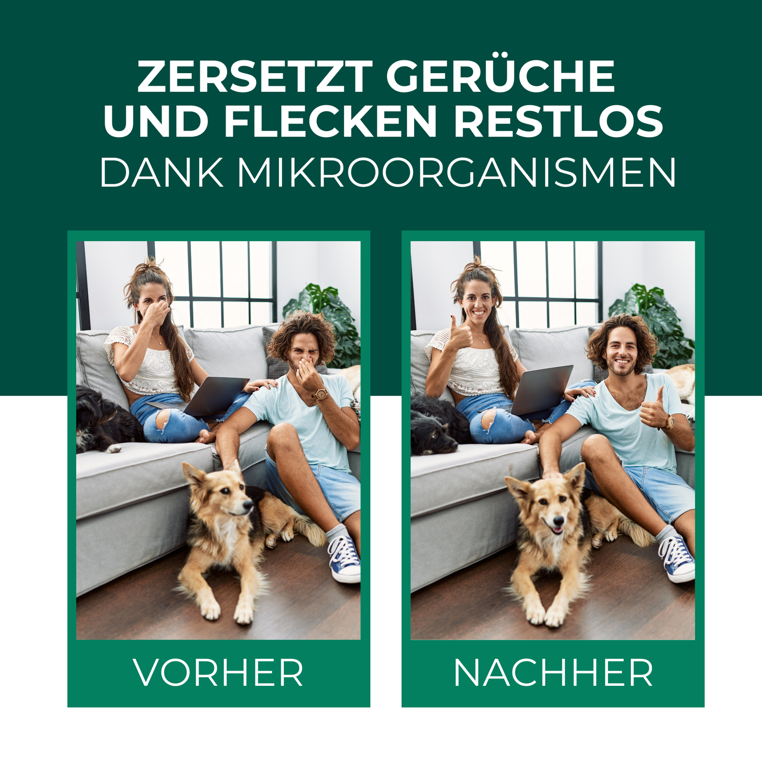 Problem & Lösung