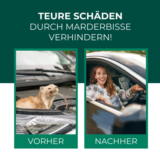 Vorher-Nachher-Bild, das die Wirkung des Silberkraft Marder Stopp Sprays demonstriert. Vorher durchbeißt ein Marder Kabel in einem Auto. Nachher fährt eine junge Frau glücklich mit dem Auto.