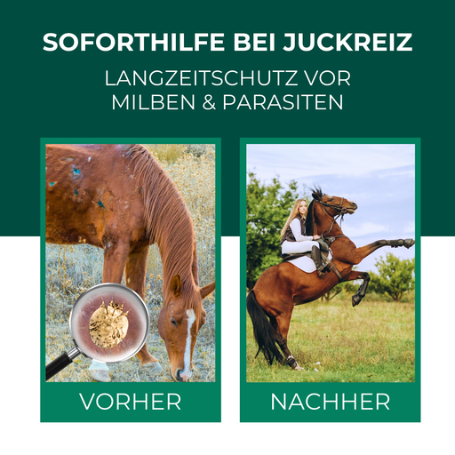 Vorher und Nacher der Anwendung des Pferde Milbensprays. Das Spray gewährleistet einen zuverlässigen Schutz vor Milben, Parasiten und Juckreiz. Befall wird bekämpft.