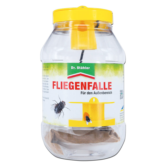 Mischdisplay Fliege/Wespe