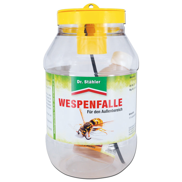 Mischdisplay Fliege/Wespe