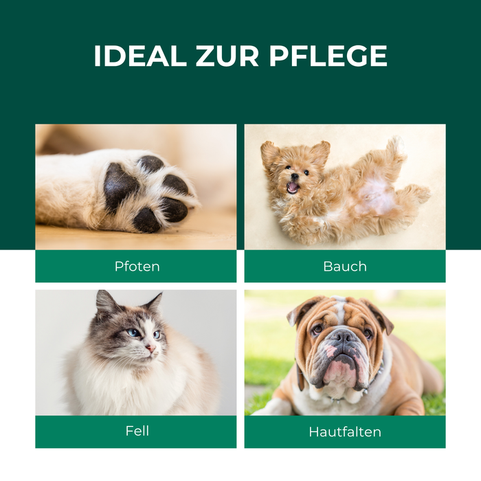 Spray per la cura degli animali domestici