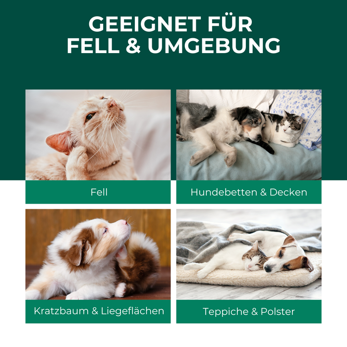 Spray antipulci e zecche per cani e gatti